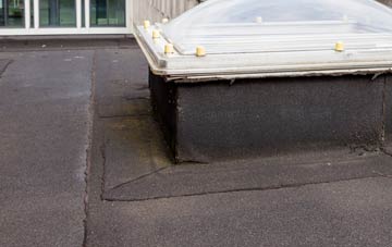 disadvantages of Dagnall flat roofs