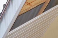 rated Dagnall soffit repair companies
